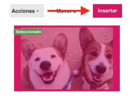 Captura_de_Pantalla_2020-08-19_a_la_s__16.15.15.png